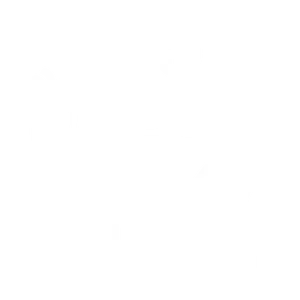 Protective Services Group - Health, welfare and carer support