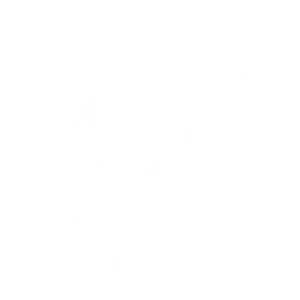 Protective Services Group - Professional Development