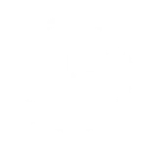 Protective Services Group - Flexible work options